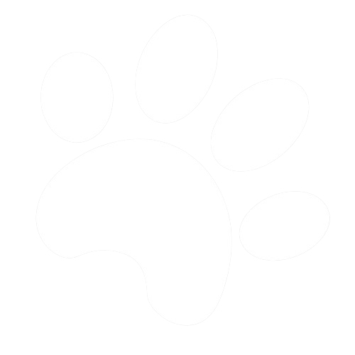 pata